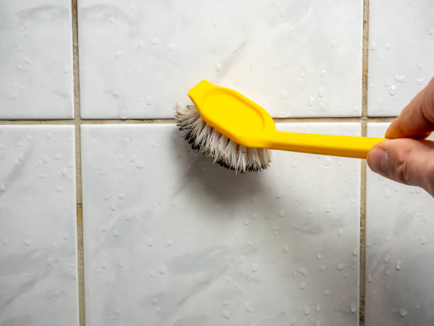 Best Affordable Mold Removal  in Southgate, MI